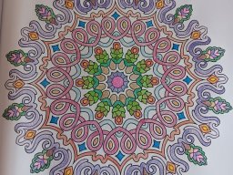 whatsapp bild 2024-01-25 um 13.13.11_9111a91c